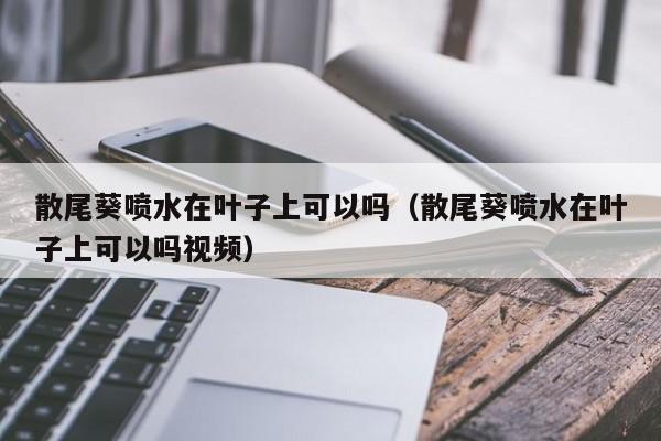 散尾葵喷水在叶子上可以吗（散尾葵喷水在叶子上可以吗视频） 