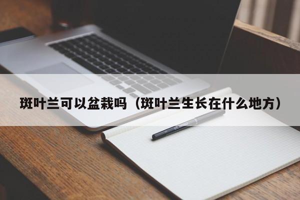 斑叶兰可以盆栽吗（斑叶兰生长在什么地方） 