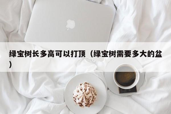 绿宝树长多高可以打顶（绿宝树需要多大的盆） 