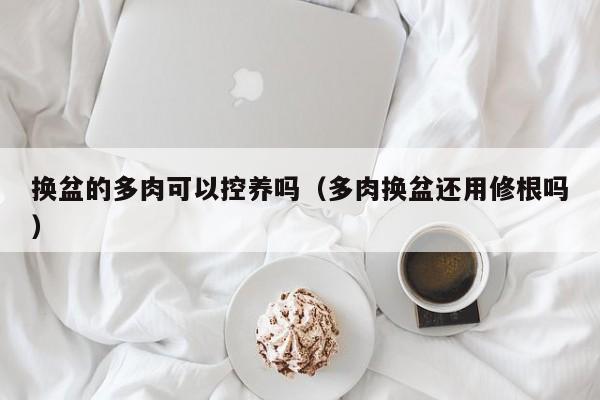 换盆的多肉可以控养吗（多肉换盆还用修根吗） 