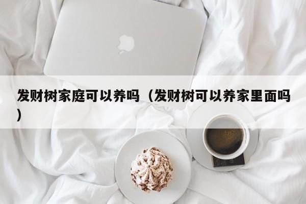 发财树家庭可以养吗（发财树可以养家里面吗） 