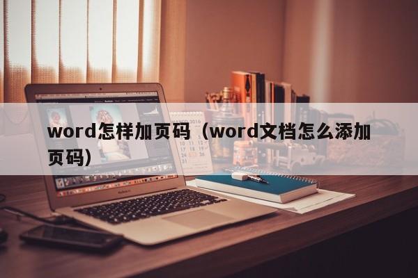 word怎样加页码（word文档怎么添加页码） 