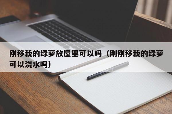 刚移栽的绿萝放屋里可以吗（刚刚移栽的绿萝可以浇水吗） 