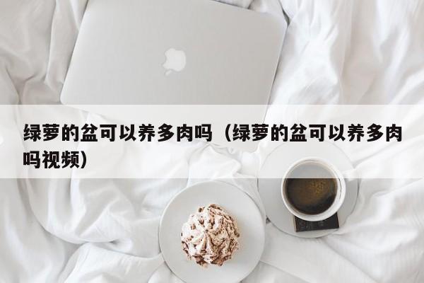 绿萝的盆可以养多肉吗（绿萝的盆可以养多肉吗视频） 