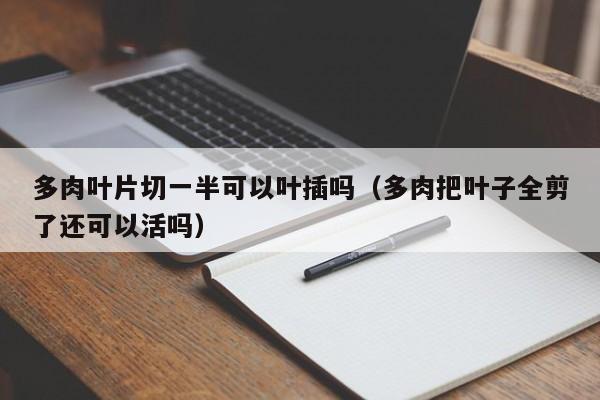 多肉叶片切一半可以叶插吗（多肉把叶子全剪了还可以活吗） 