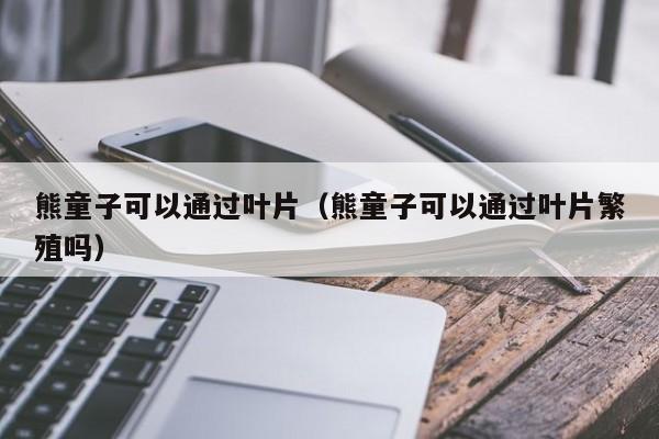 熊童子可以通过叶片（熊童子可以通过叶片繁殖吗） 