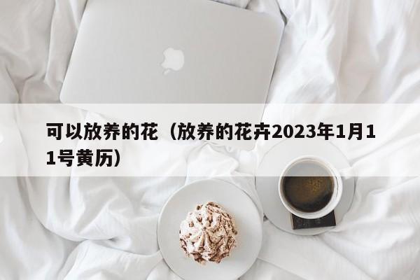 可以放养的花（放养的花卉2023年1月11号黄历） 