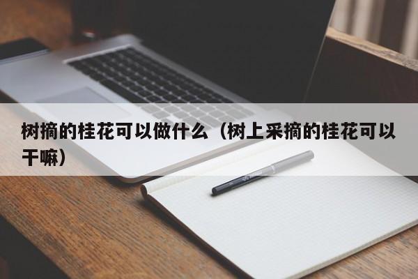 树摘的桂花可以做什么（树上采摘的桂花可以干嘛） 