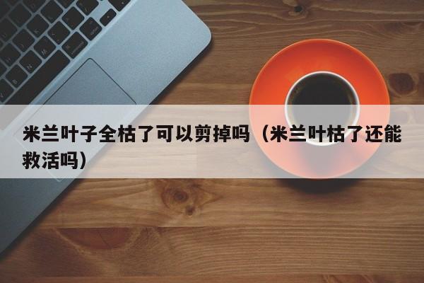 米兰叶子全枯了可以剪掉吗（米兰叶枯了还能救活吗） 