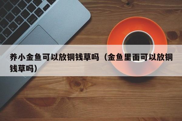 养小金鱼可以放铜钱草吗（金鱼里面可以放铜钱草吗） 