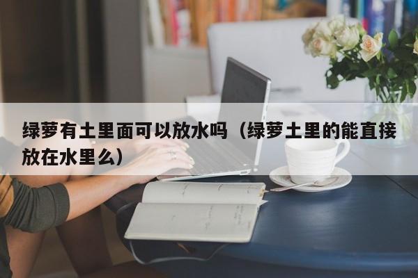 绿萝有土里面可以放水吗（绿萝土里的能直接放在水里么） 