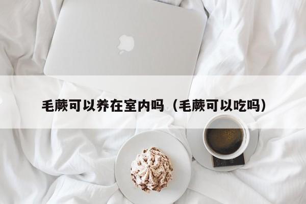 毛蕨可以养在室内吗（毛蕨可以吃吗） 