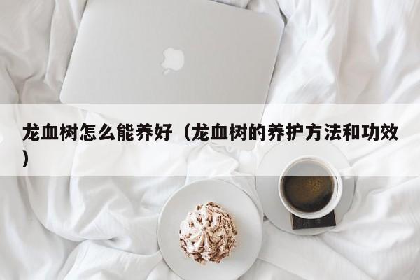 龙血树怎么能养好（龙血树的养护方法和功效） 