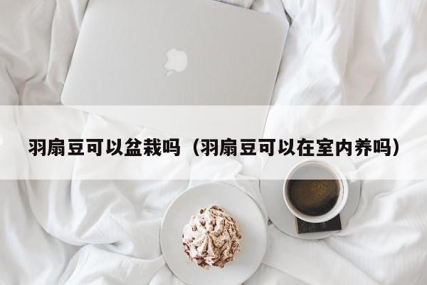 羽扇豆可以盆栽吗（羽扇豆可以在室内养吗） 