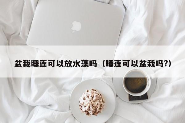 盆栽睡莲可以放水藻吗（睡莲可以盆栽吗?） 