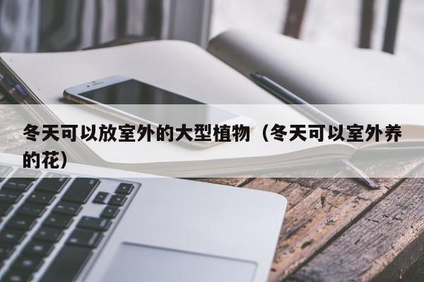 冬天可以放室外的大型植物（冬天可以室外养的花） 