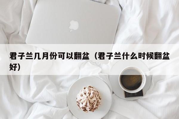 君子兰几月份可以翻盆（君子兰什么时候翻盆好） 