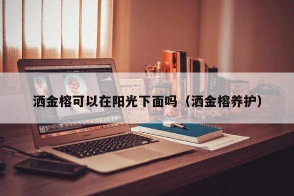 洒金榕可以在阳光下面吗（洒金榕养护） 