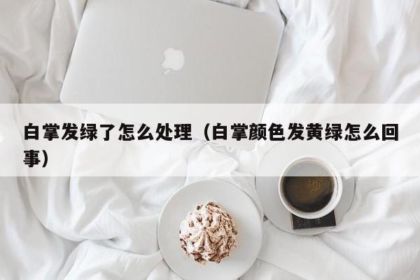 白掌发绿了怎么处理（白掌颜色发黄绿怎么回事） 