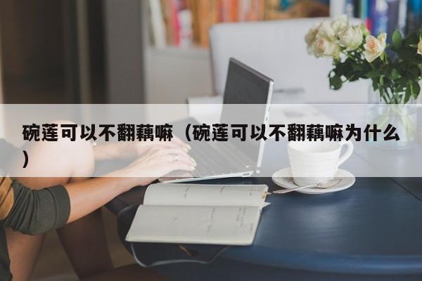 碗莲可以不翻藕嘛（碗莲可以不翻藕嘛为什么） 