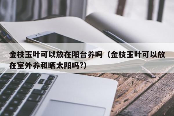 金枝玉叶可以放在阳台养吗（金枝玉叶可以放在室外养和晒太阳吗?） 