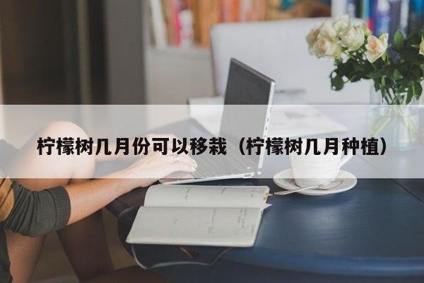 柠檬树几月份可以移栽（柠檬树几月种植） 