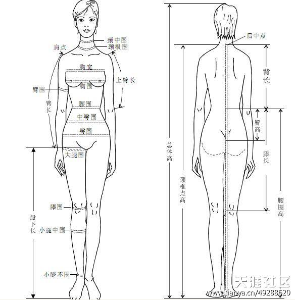 有许多的网友问道吴亦凡的大长腿是怎么测量的,下面我们用图解的方式
