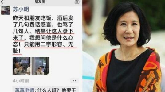 苏小明为什么不结婚没孩子？苏小明整容失败