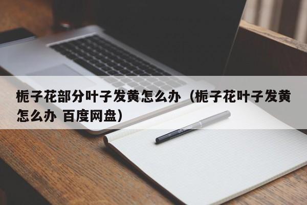 栀子花部分叶子发黄怎么办（栀子花叶子发黄怎么办 百度网盘） 