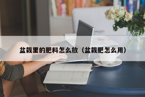 盆栽里的肥料怎么放（盆栽肥怎么用） 