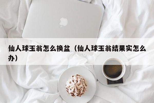 仙人球玉翁怎么换盆（仙人球玉翁结果实怎么办） 