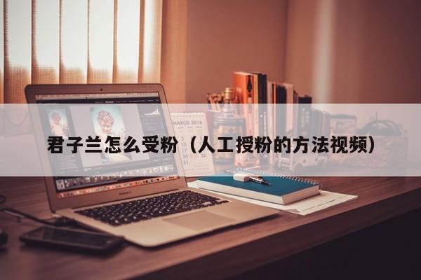 君子兰怎么受粉（人工授粉的方法视频） 