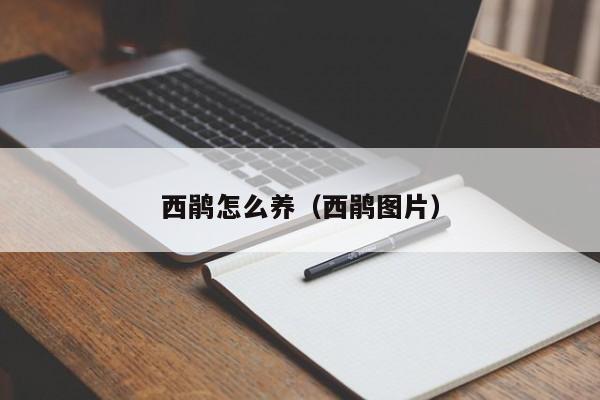 西鹃怎么养（西鹃图片） 