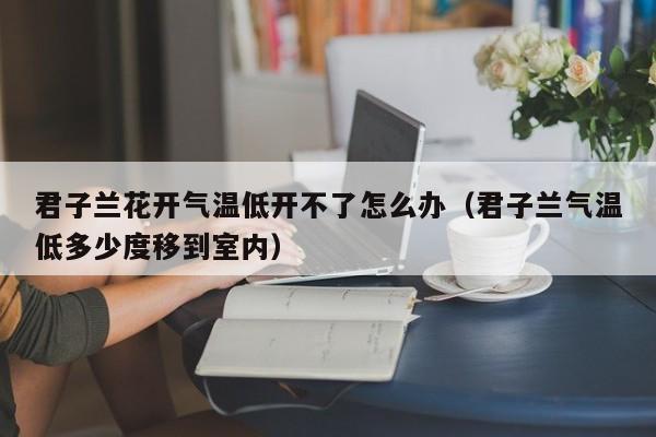 君子兰花开气温低开不了怎么办（君子兰气温低多少度移到室内） 