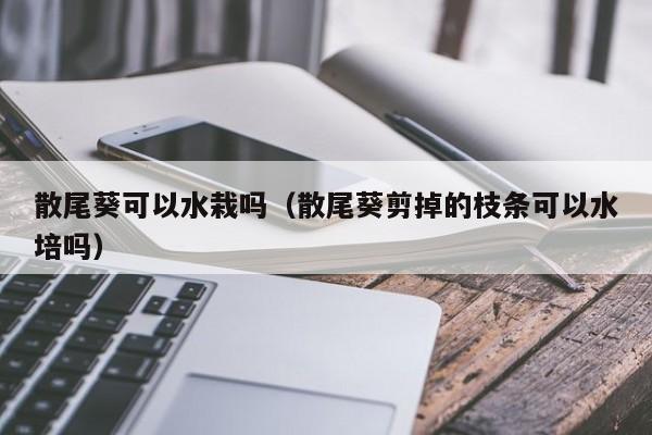 散尾葵可以水栽吗（散尾葵剪掉的枝条可以水培吗） 