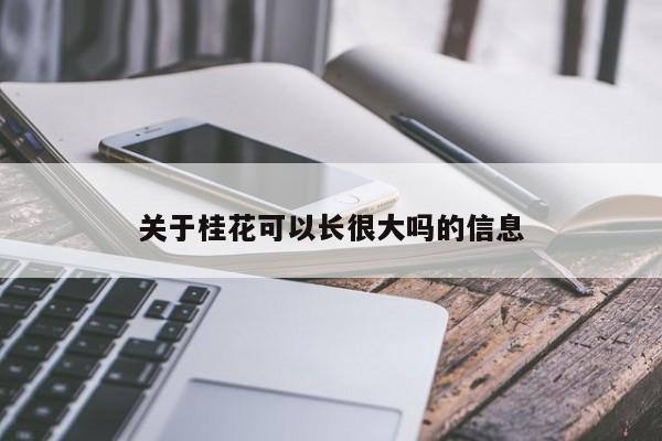 关于桂花可以长很大吗的信息 