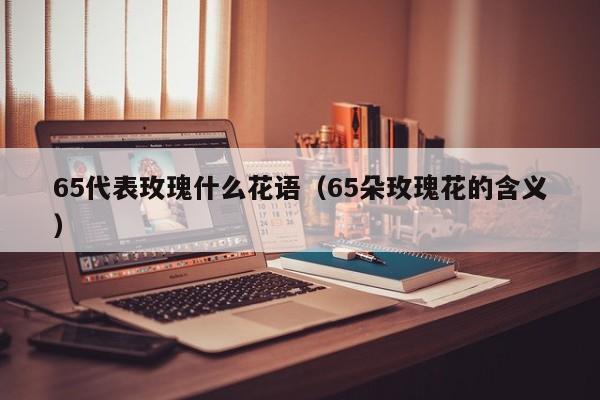 65代表玫瑰什么花语（65朵玫瑰花的含义） 